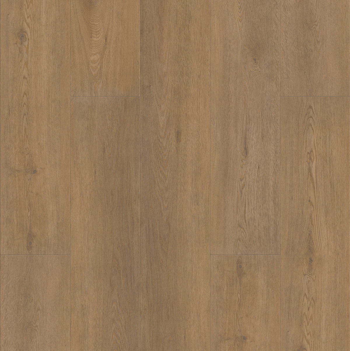 FE102 Chêne Valigny Doré