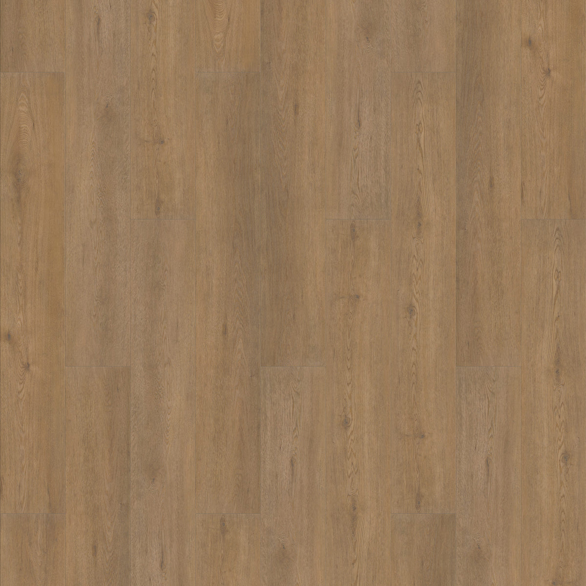 FE102 Chêne Valigny Doré