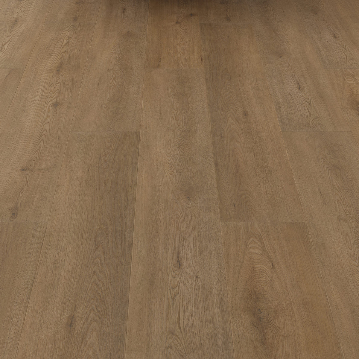 FE102 Chêne Valigny Doré