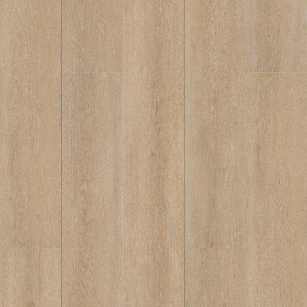 FE103 Chêne Estérel Cérusé XL