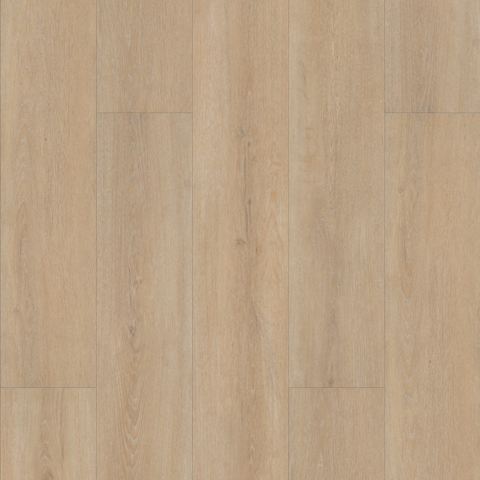 FE103 Chêne Estérel Cérusé XL