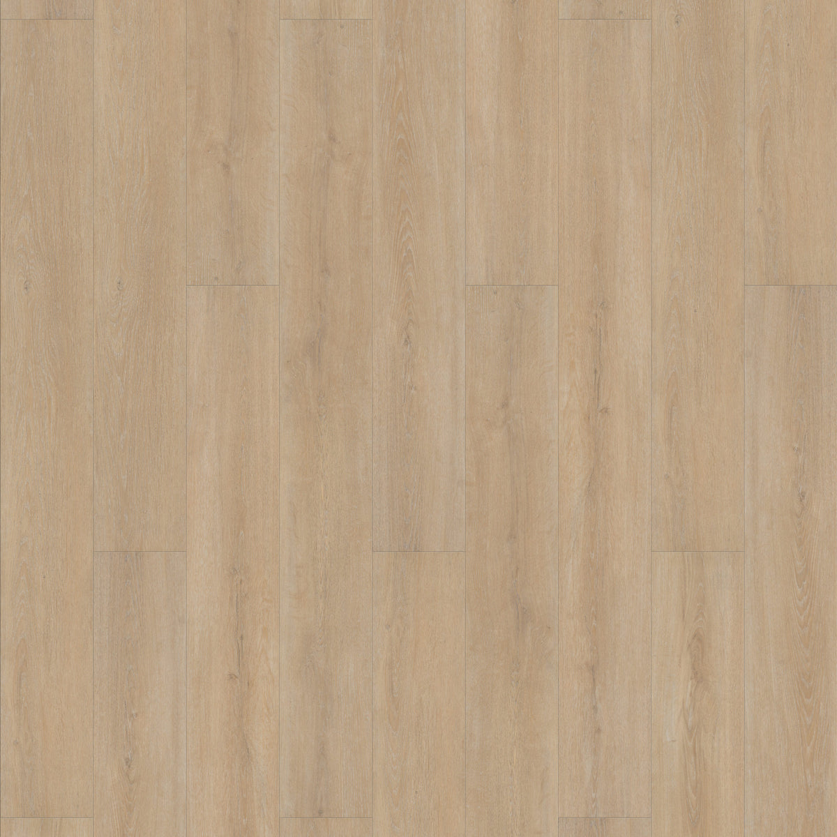 FE103 Chêne Estérel Cérusé XL