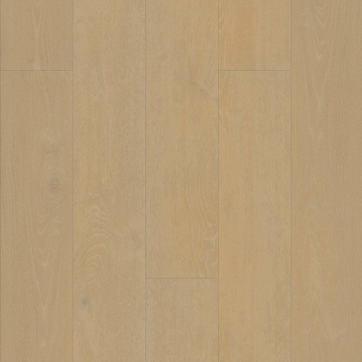 FE104 Chêne Haguenau Huilé Nat XL