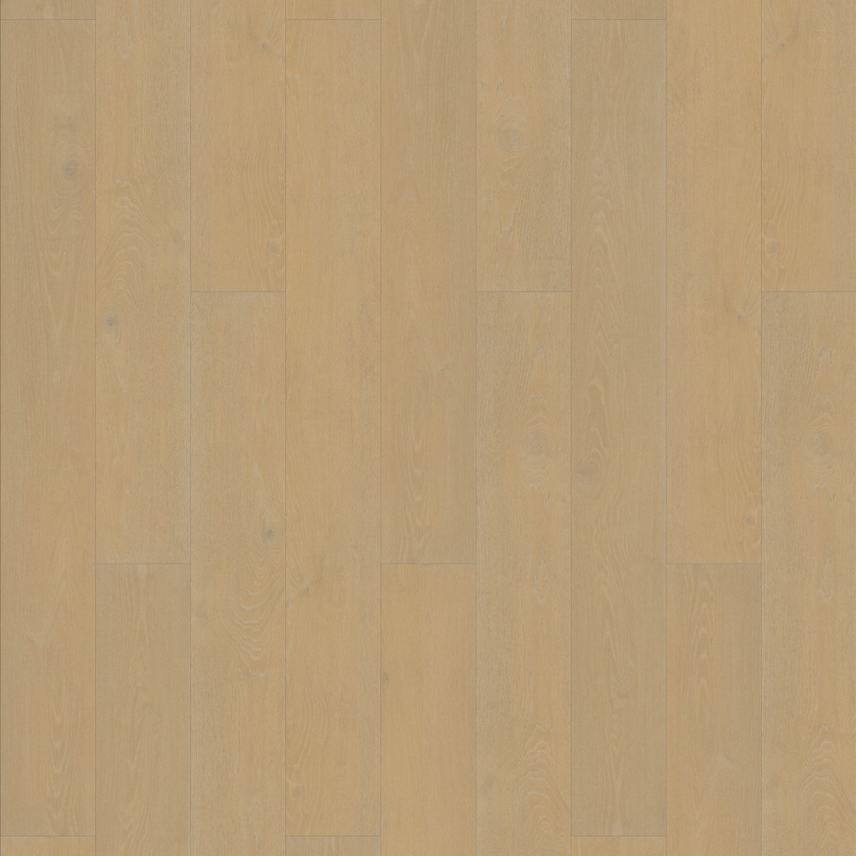 FE104 Chêne Haguenau Huilé Nat XL