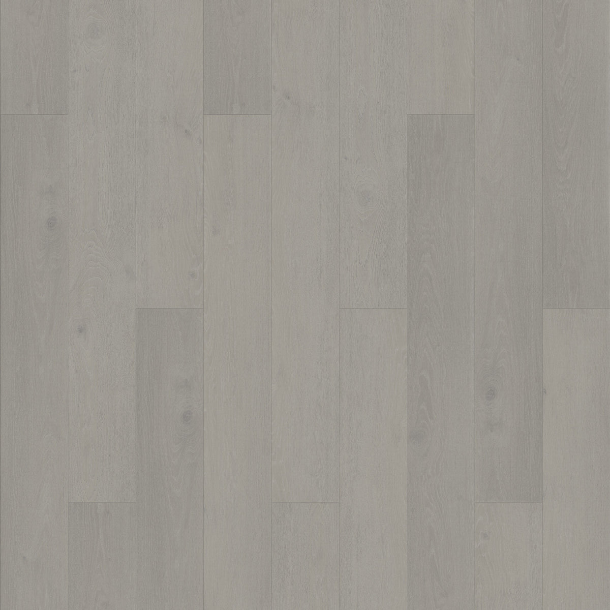 FE105 Chêne Haguenau Huilé Gris XL