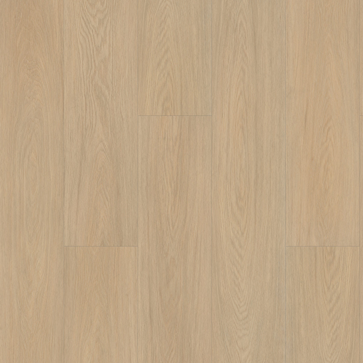 FE106 Chêne Chantilly Amande