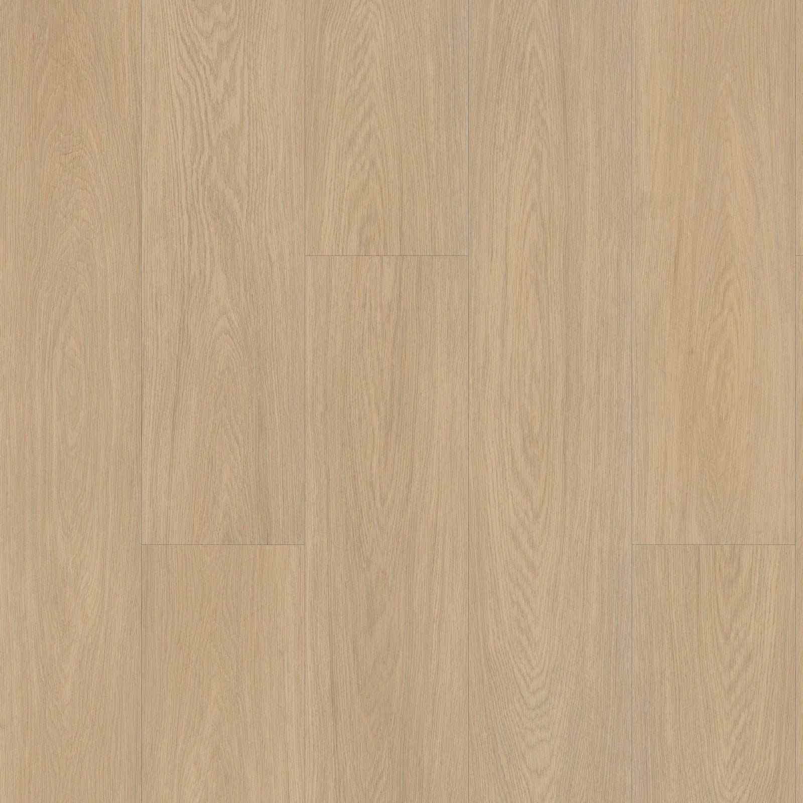 FE106 Chêne Chantilly Amande