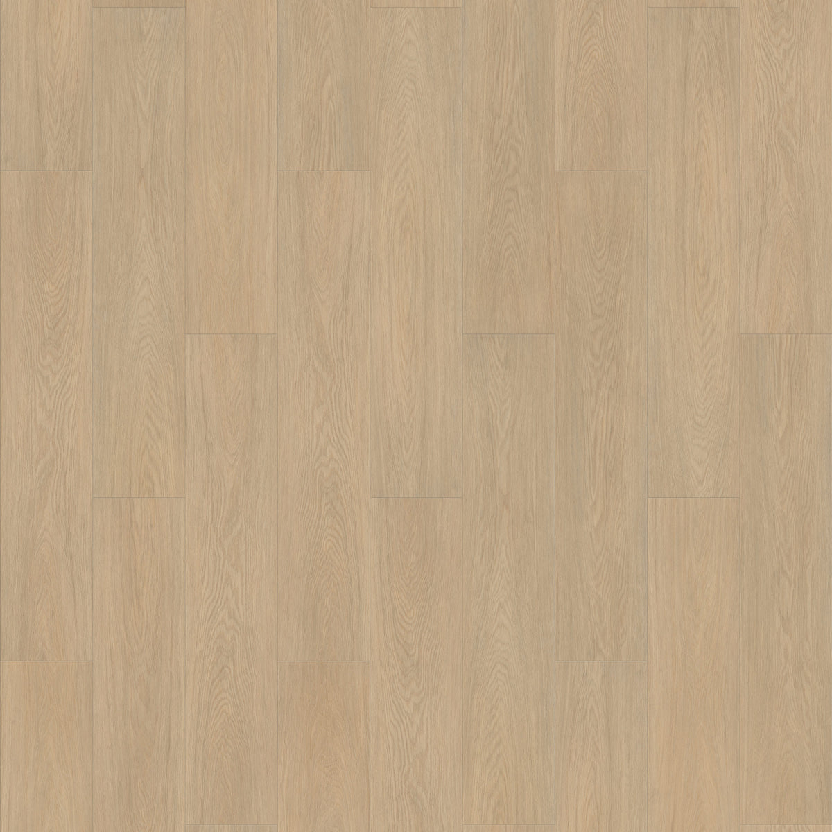 FE106 Chêne Chantilly Amande