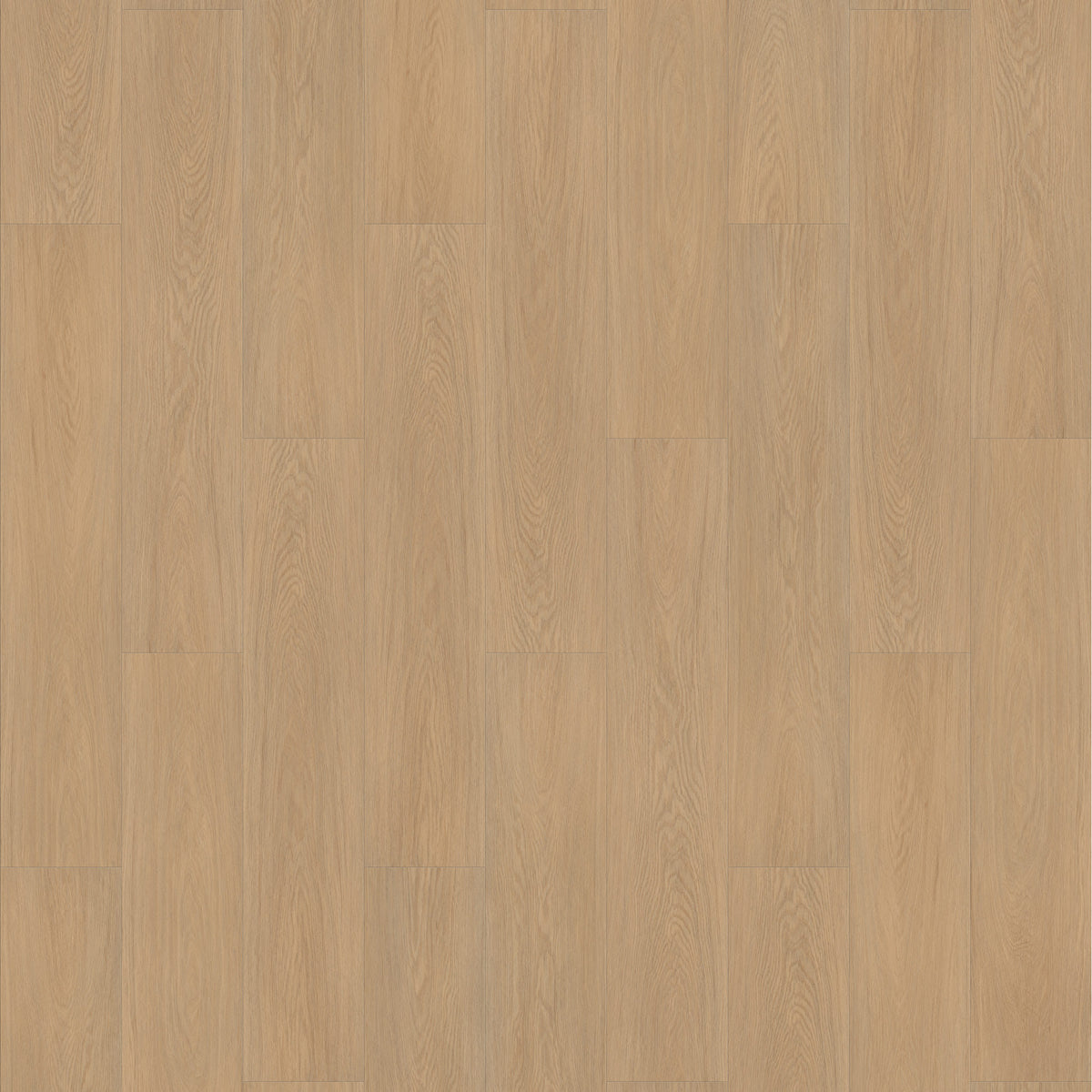 FE107 Chêne Chantilly blond