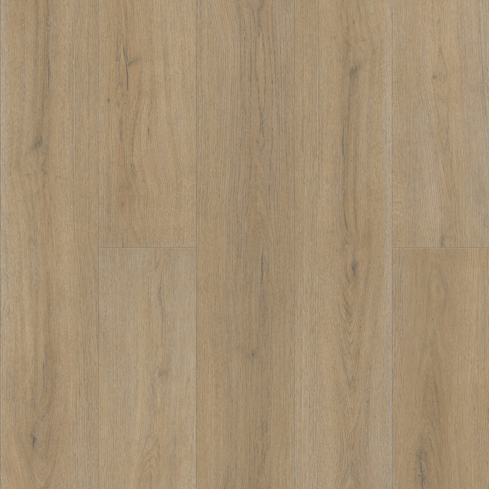 FE108 Chêne Amboise Authentique XL