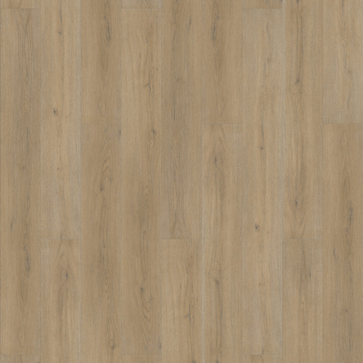 FE108 Chêne Amboise Authentique XL