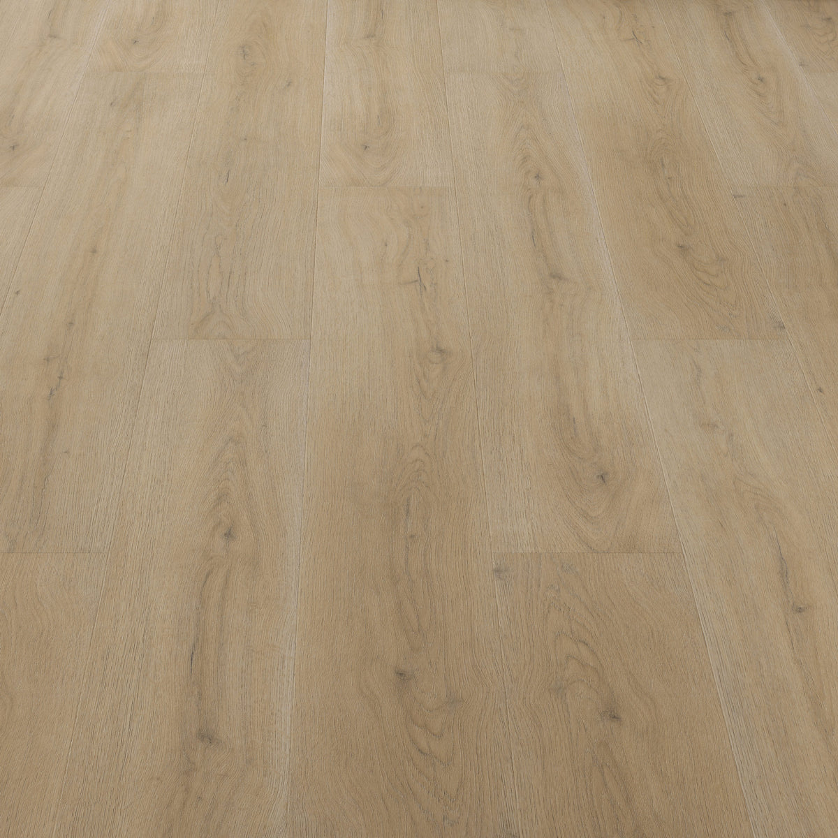 FE108 Chêne Amboise Authentique XL