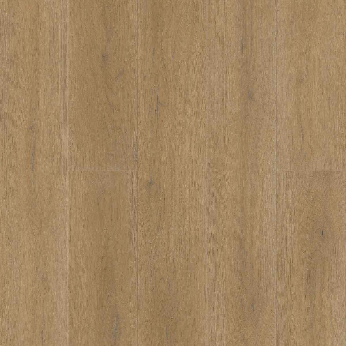 FE109 Chêne Amboise Cannelle XL