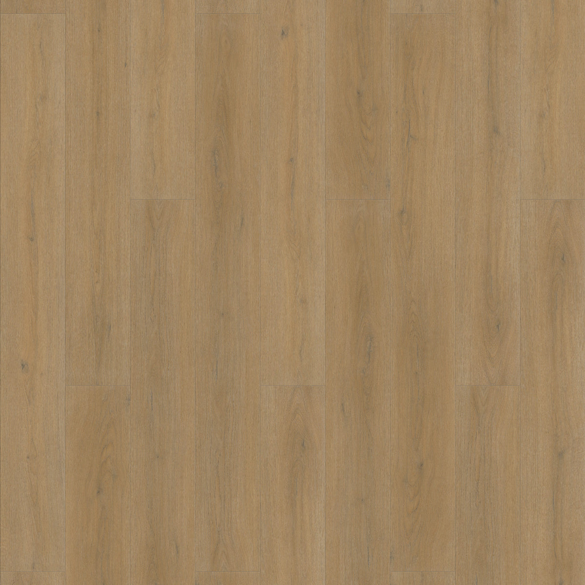 FE109 Chêne Amboise Cannelle XL