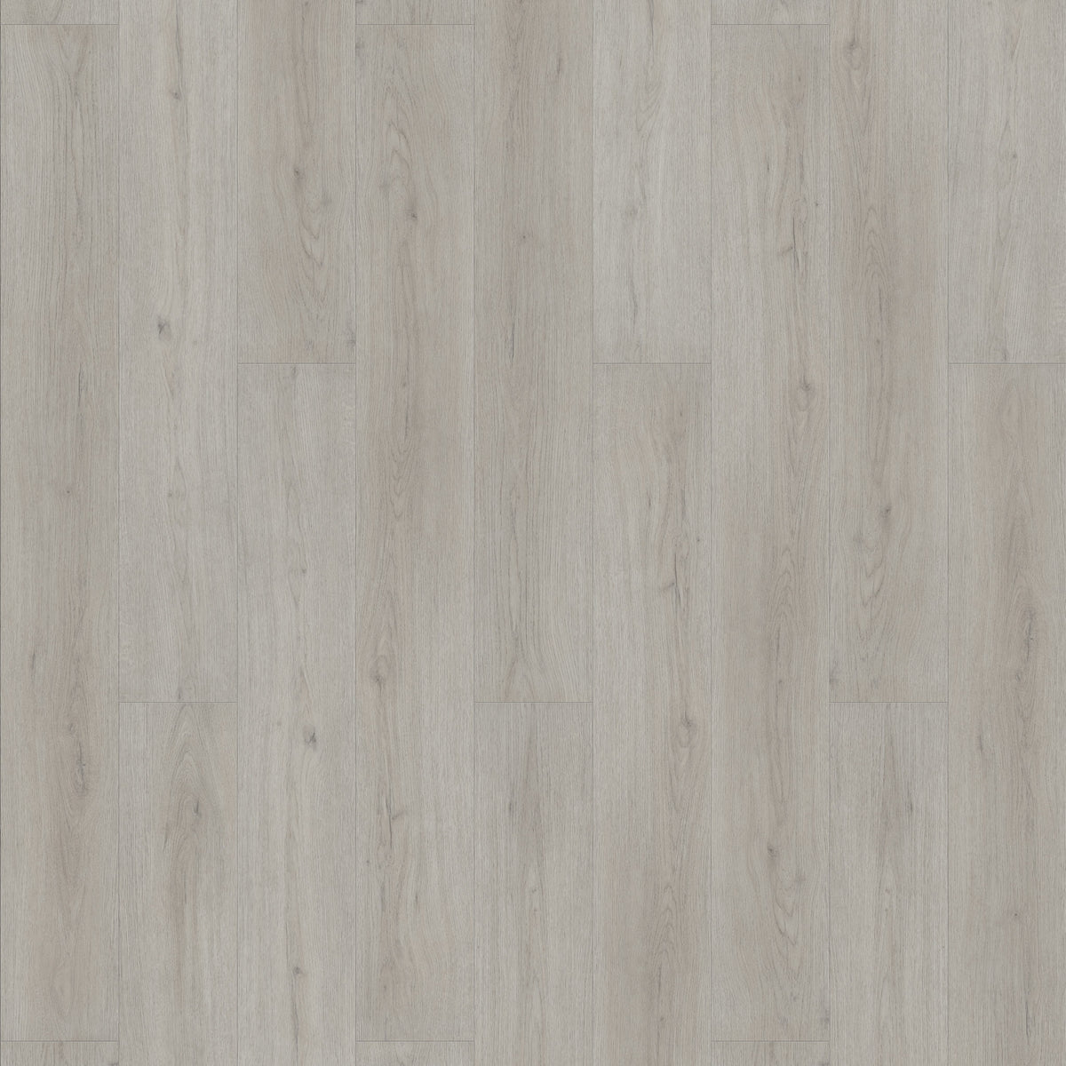 FE111 Chêne Amboise gris