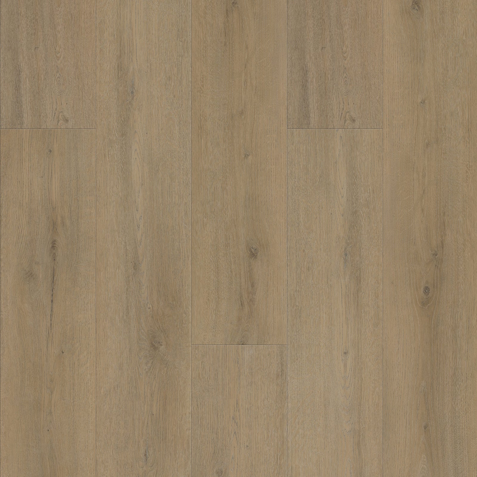 FE112 Chêne Montrésor Noisette