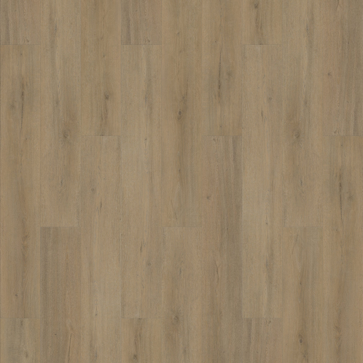 FE112 Chêne Montrésor Noisette