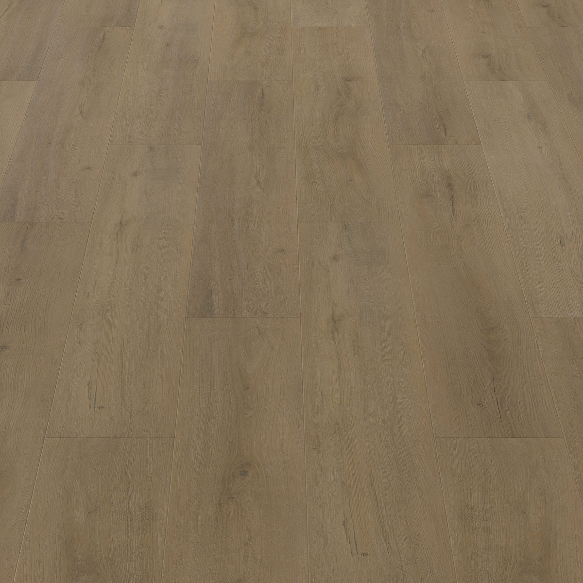 FE112 Chêne Montrésor Noisette