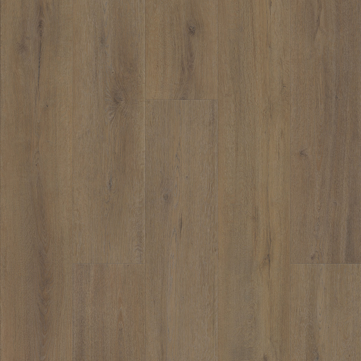 FE113 Chêne Montrésor Havane