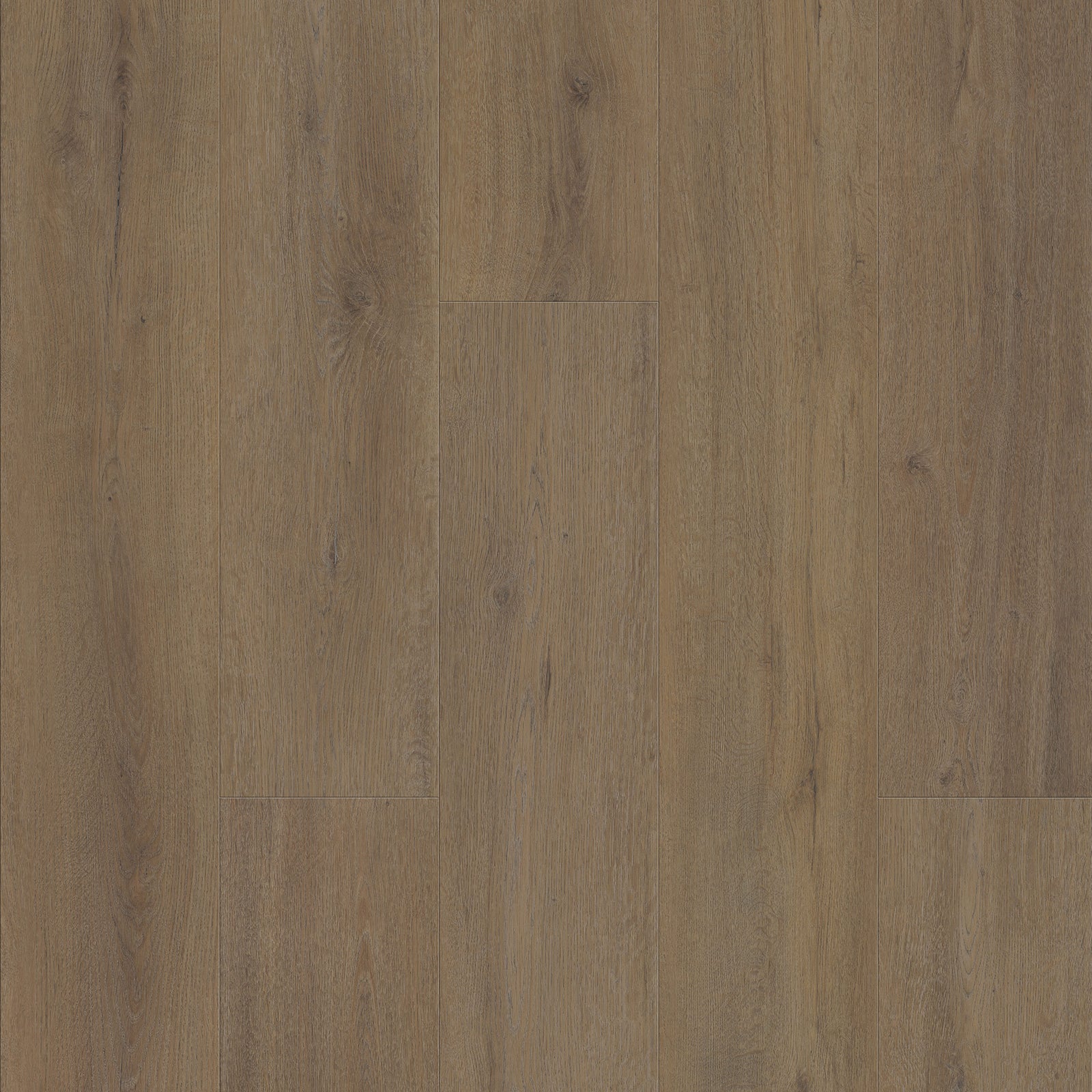 FE113 Chêne Montrésor Havane