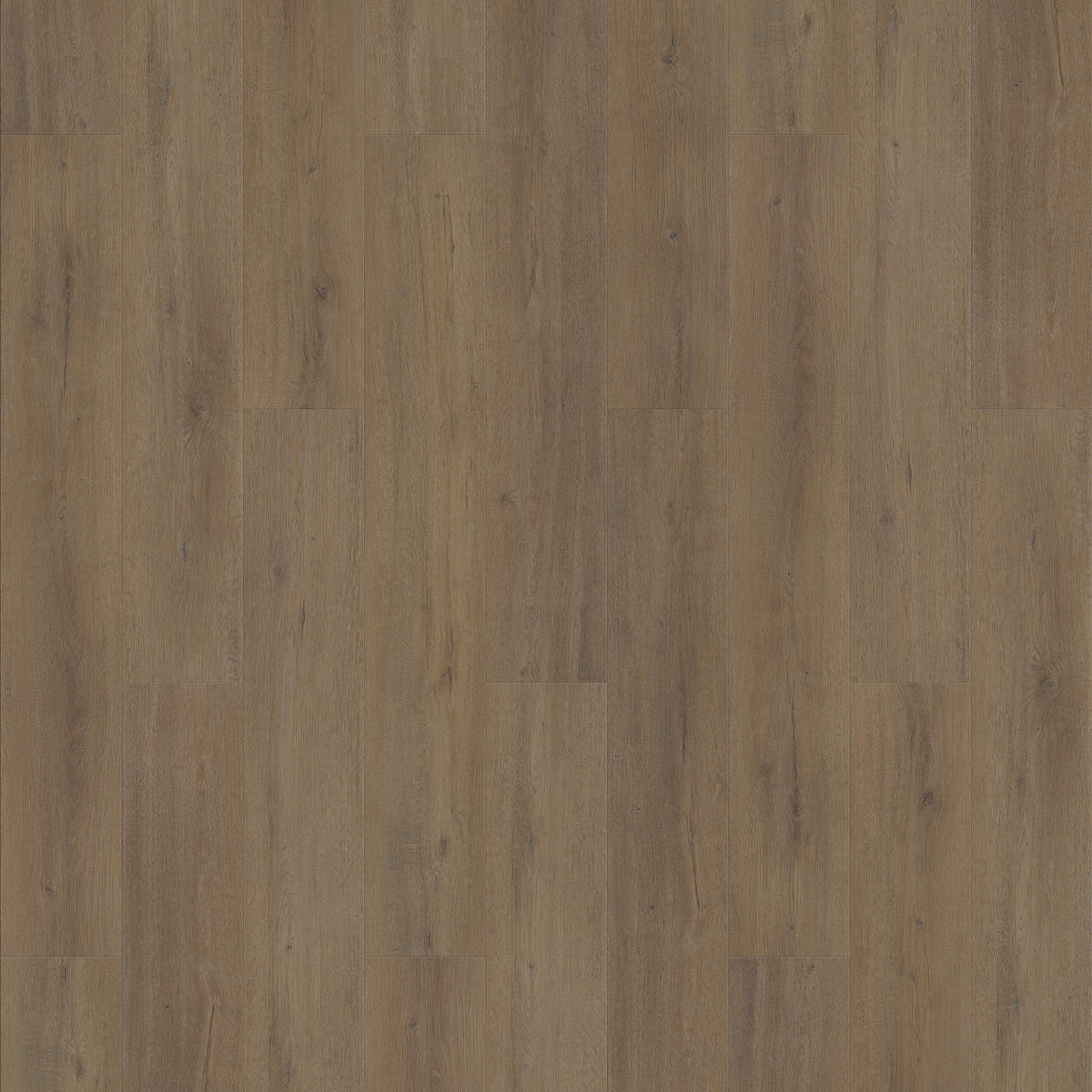 FE113 Chêne Montrésor Havane