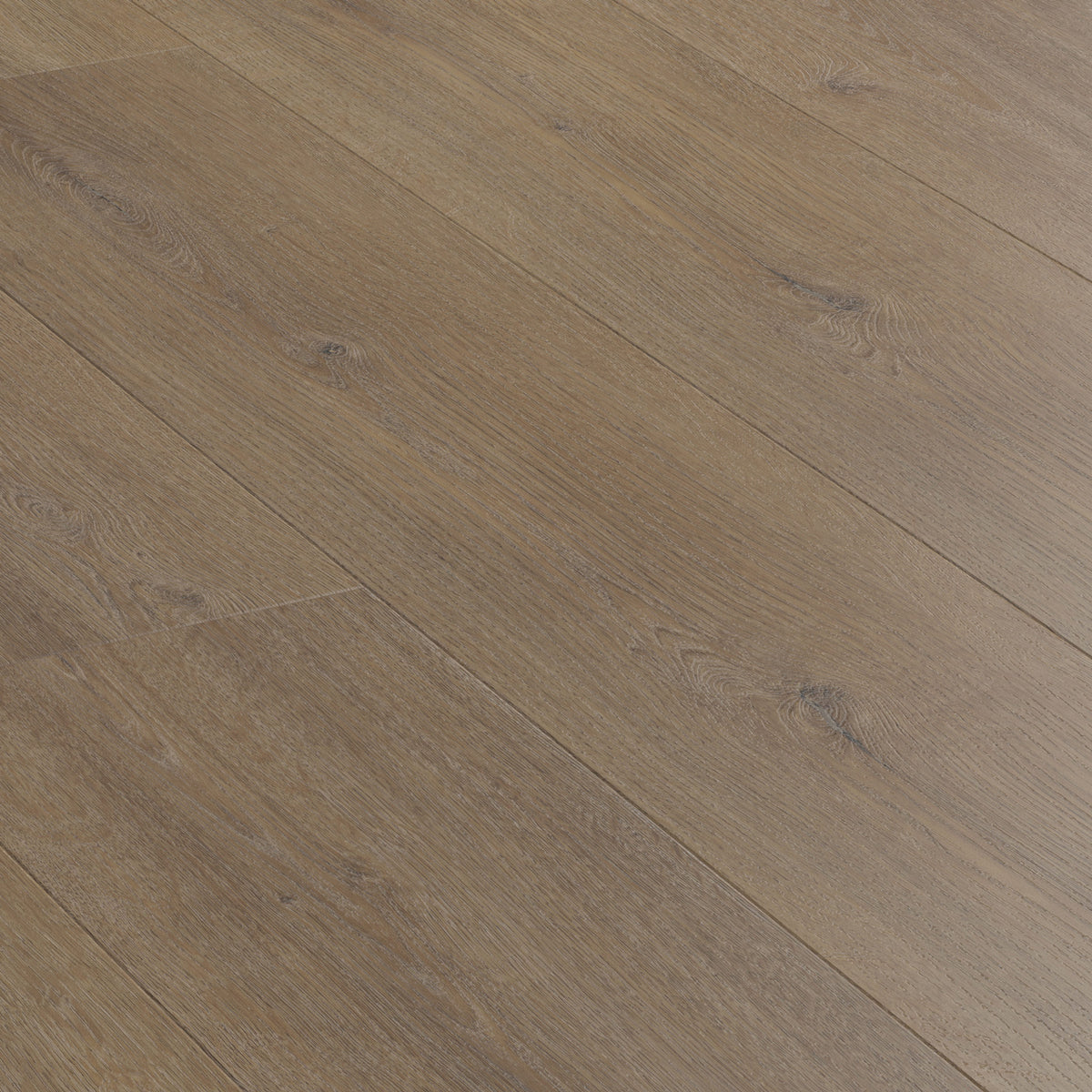 FE113 Chêne Montrésor Havane