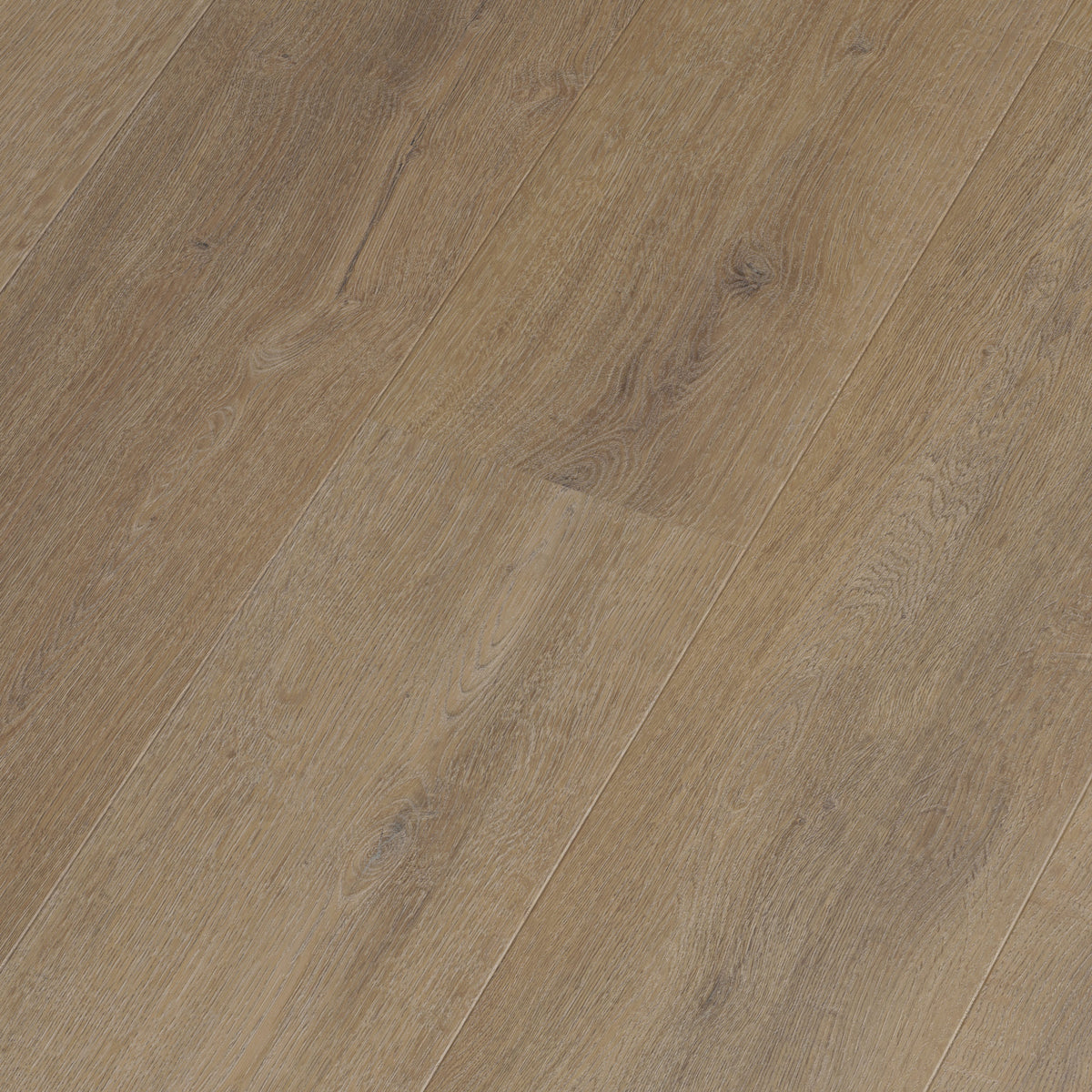 FE113 Chêne Montrésor Havane