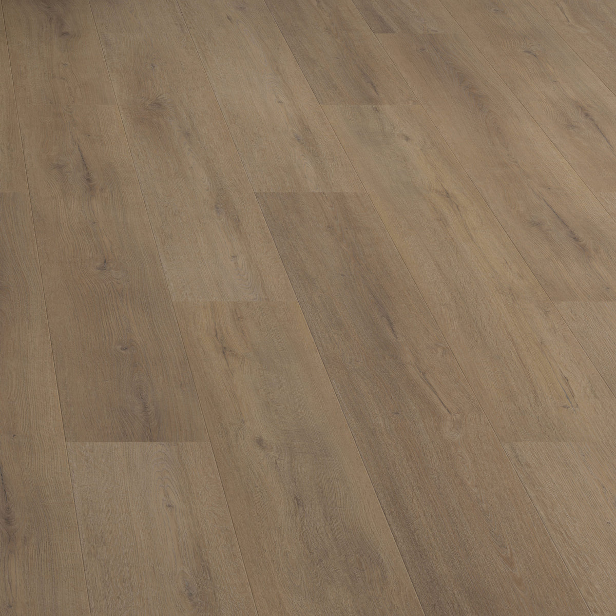 FE113 Chêne Montrésor Havane