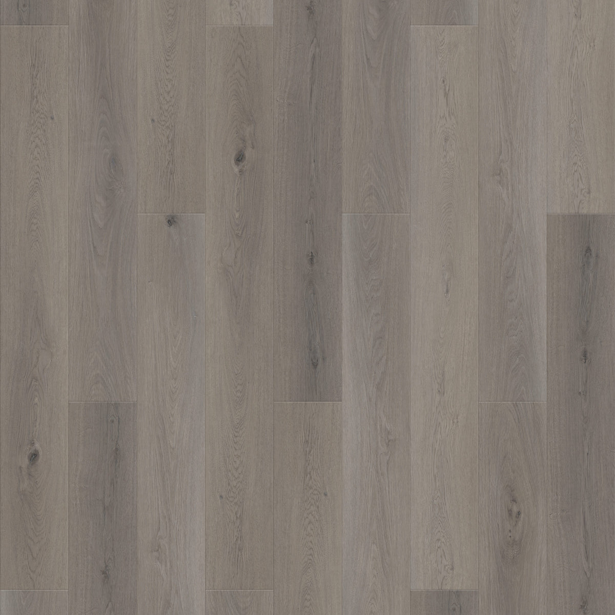 FE305 Chêne huilé gris XL