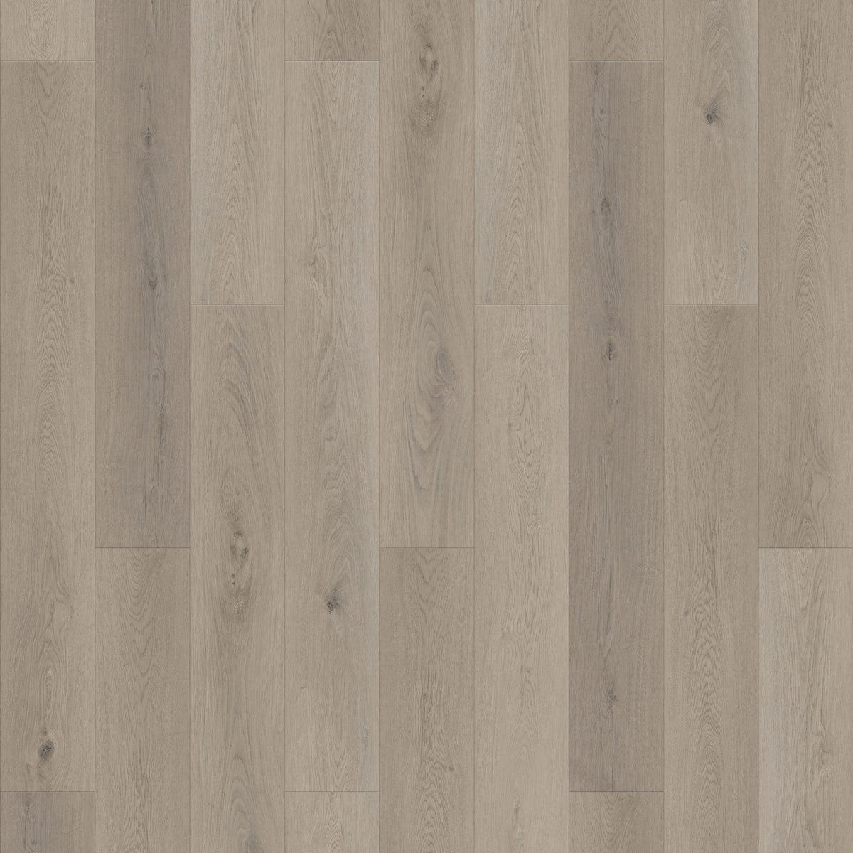 FE301 Chêne huilé gris clair XL