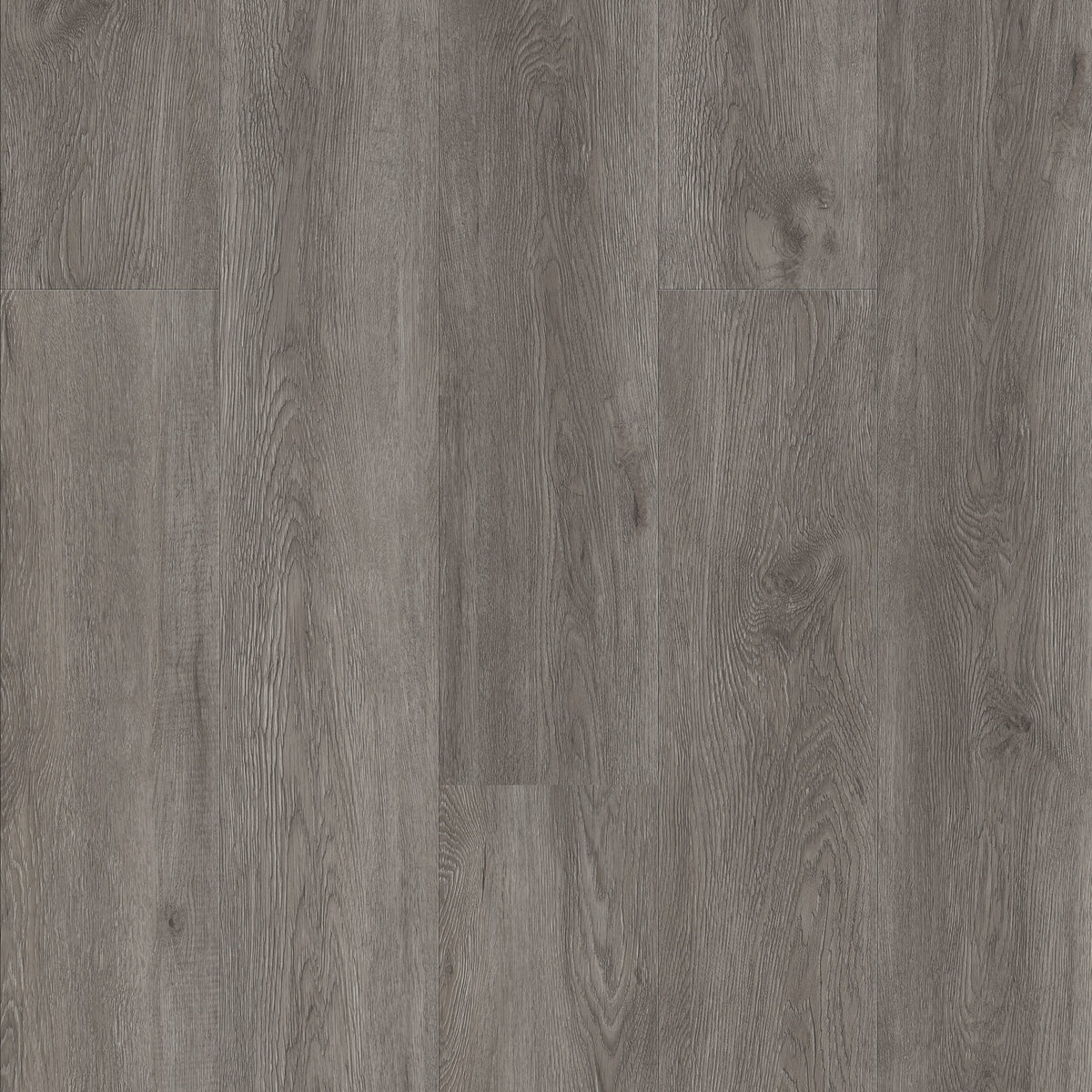 FE304 Chêne cendré