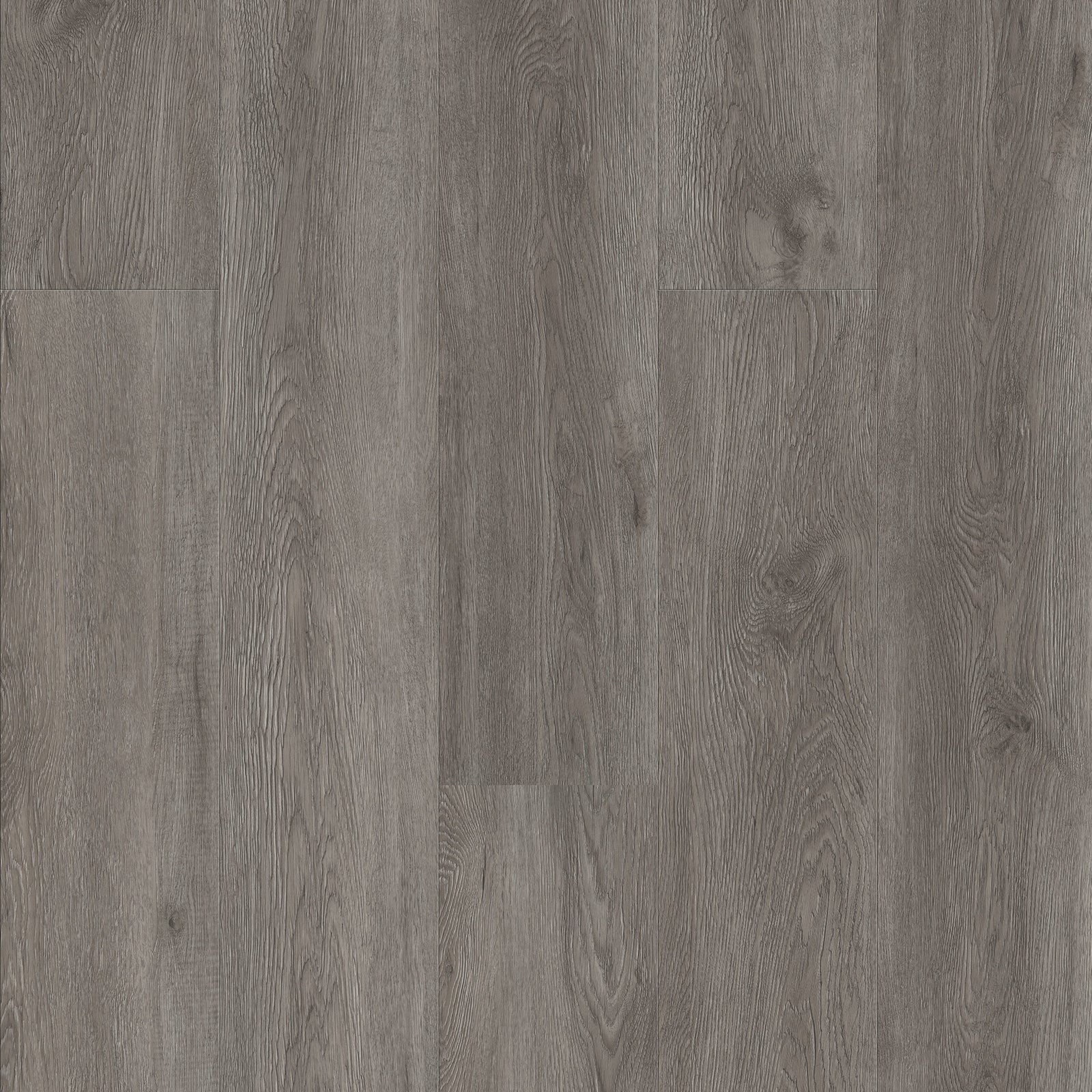 FE304 Chêne cendré