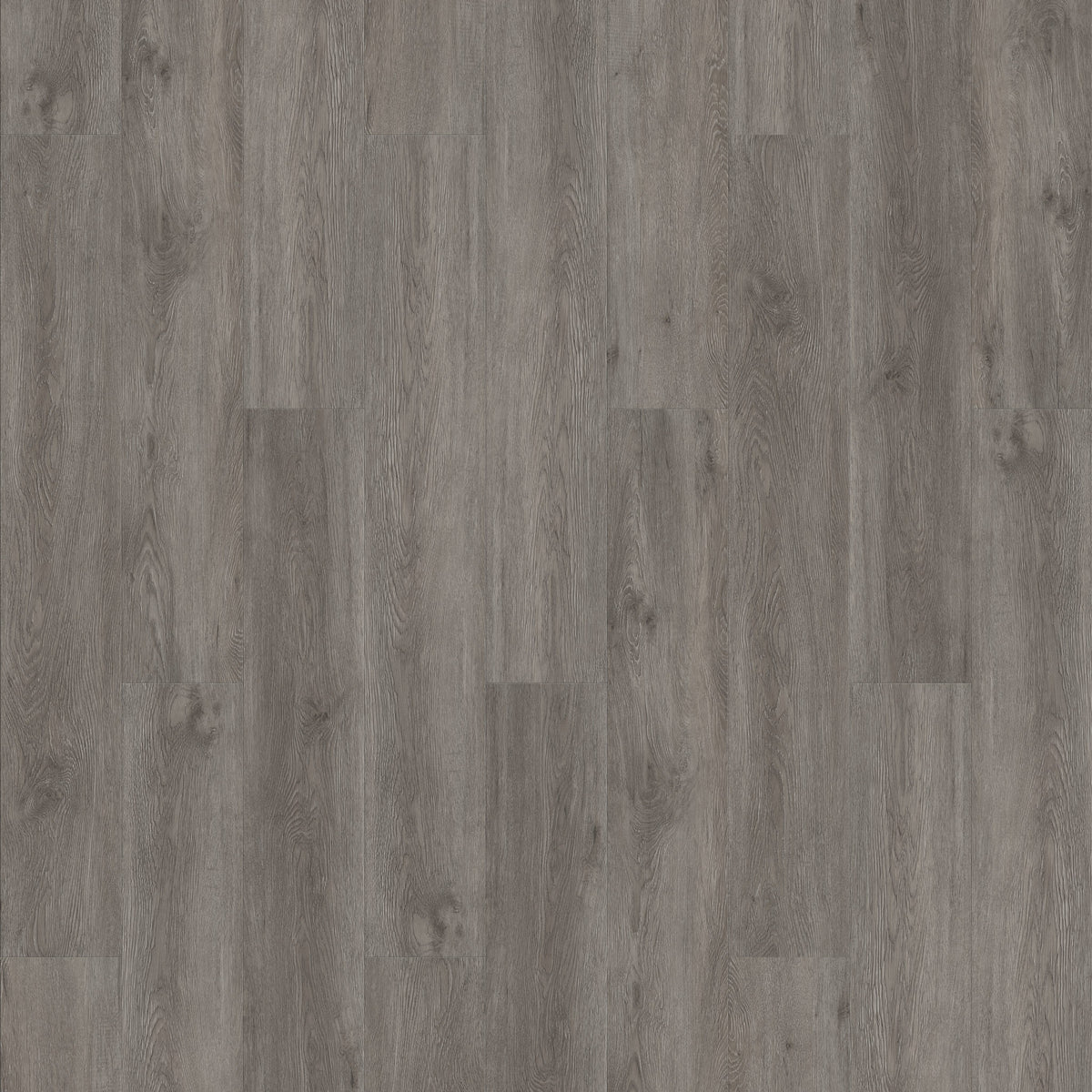 FE304 Chêne cendré