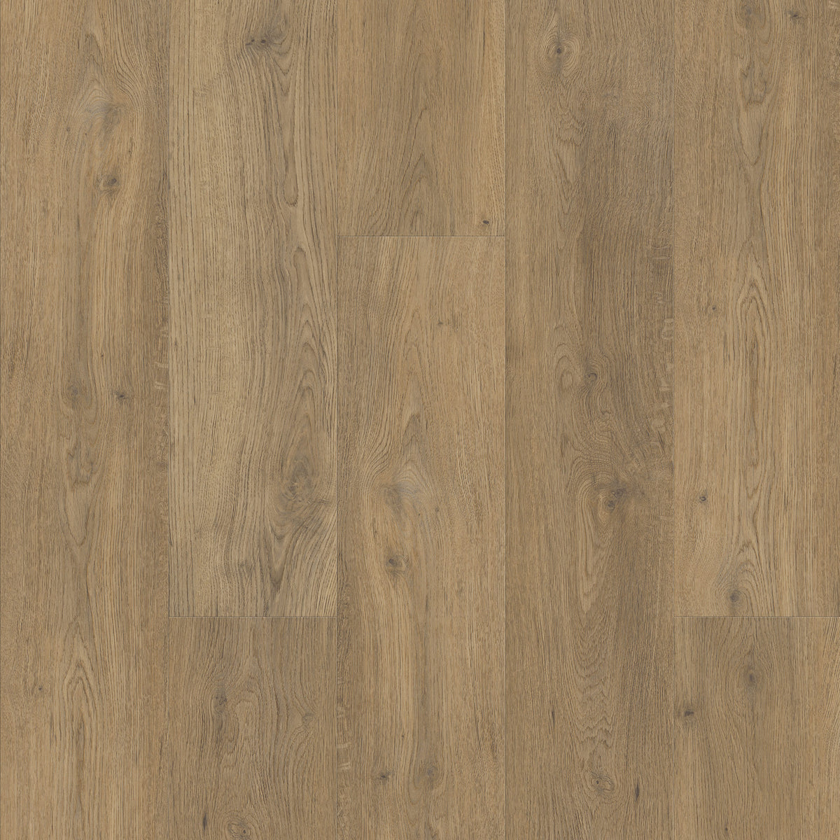 FE308 Chêne tradition