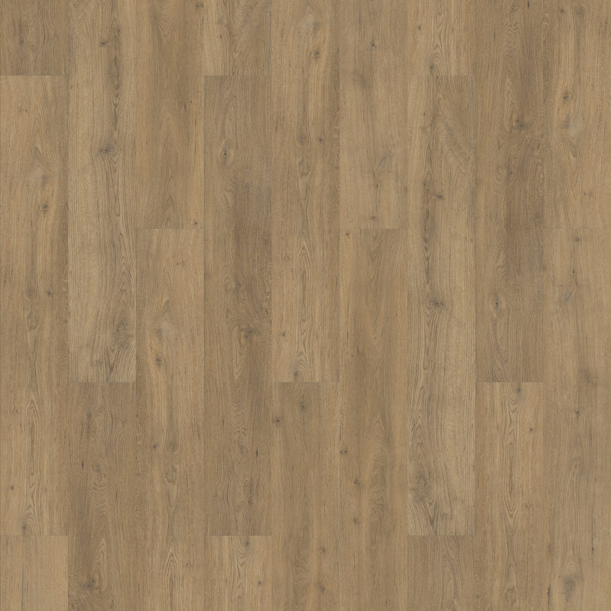 FE308 Chêne tradition