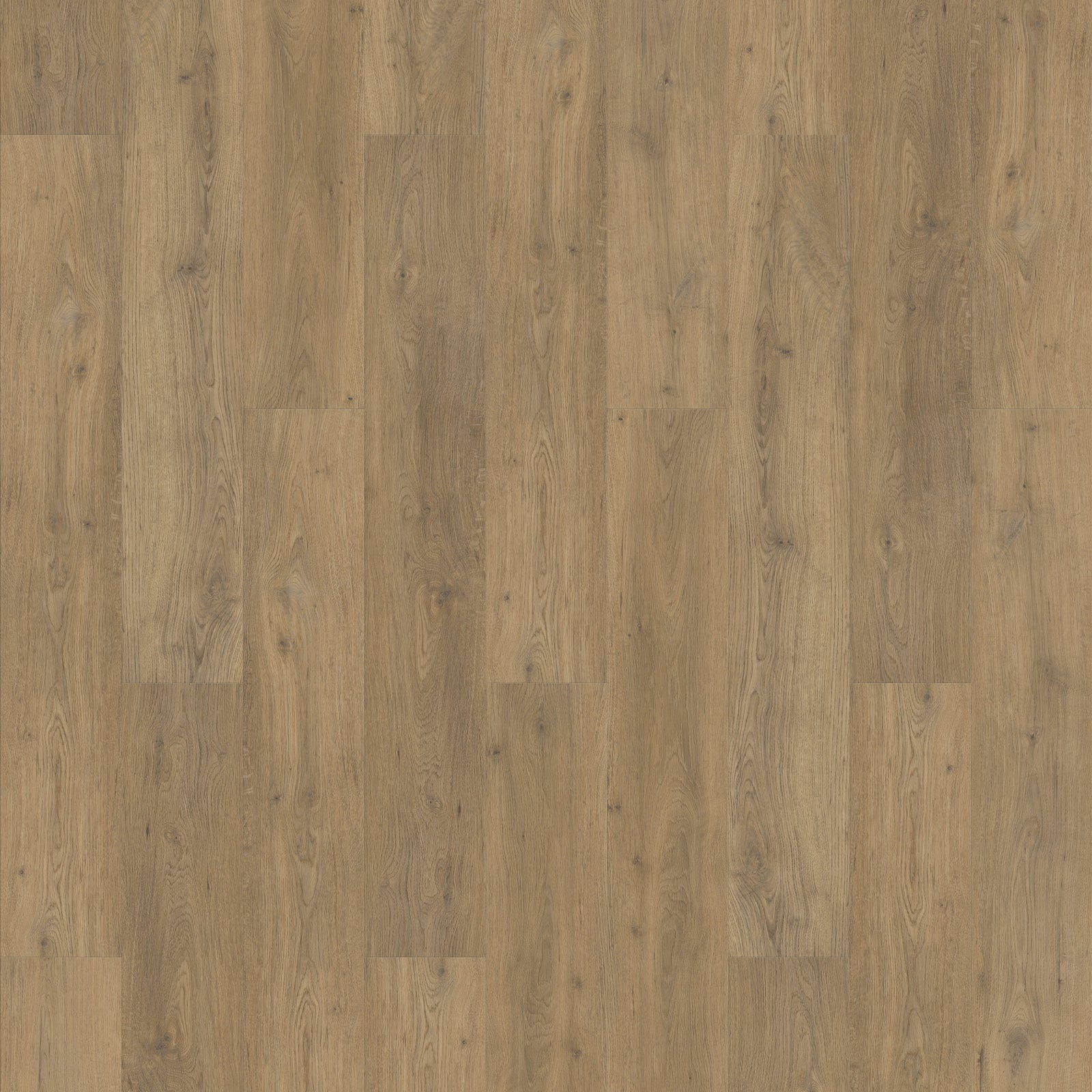 FE308 Chêne tradition