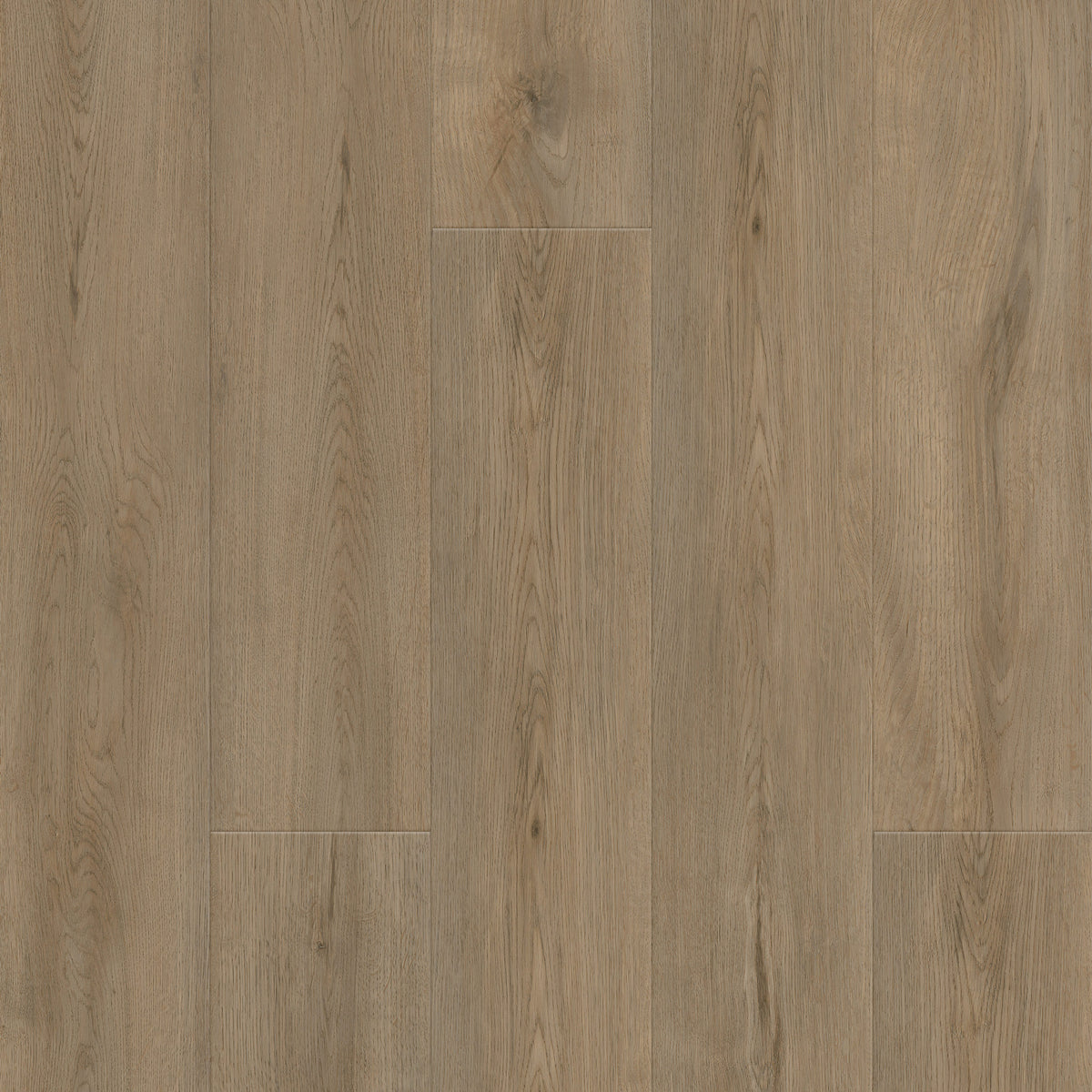 FE313 Chêne Rustique XL