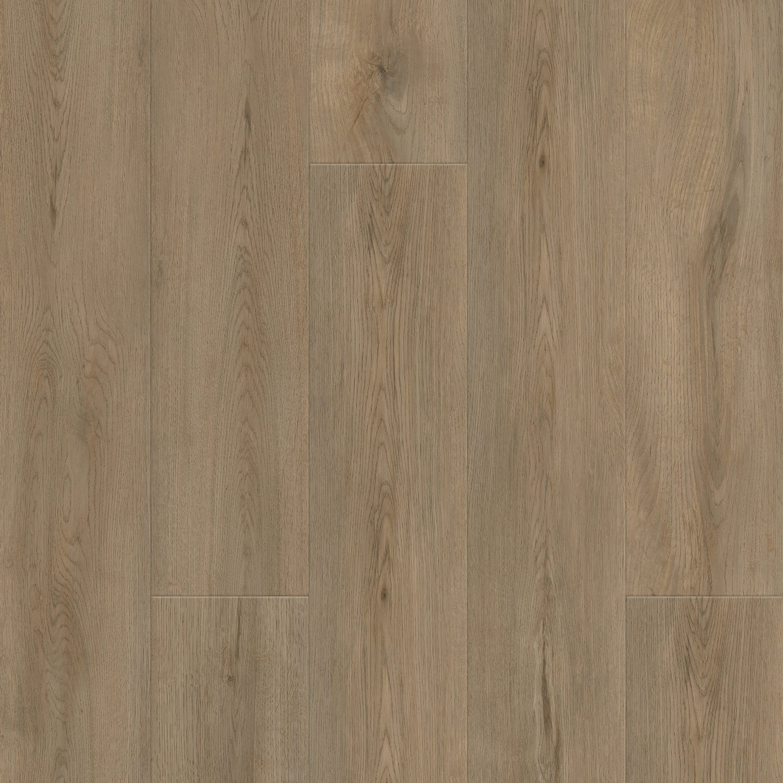 FE313 Chêne Rustique XL