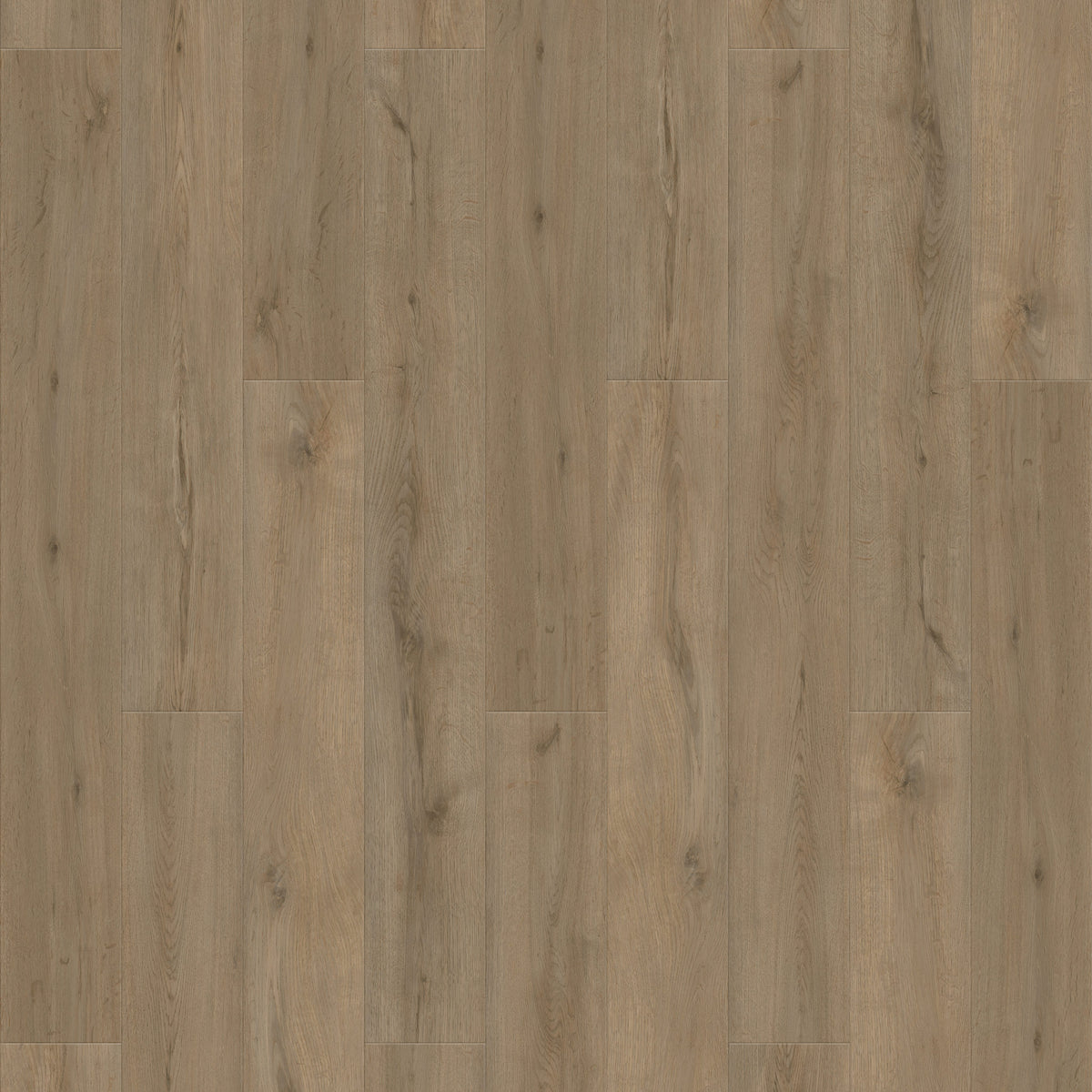 FE313 Chêne Rustique XL